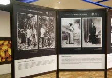 El cacao es el eje de una muestra histórica
