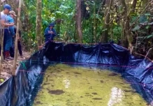 Las FF.AA. hallaron 4 piscinas artesanales en Dureno