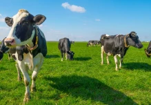 Las asociaciones agropecuarias podrán convertirse en cooperativas en Ecuador