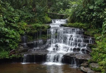 9 razones de la importancia de la Amazonía ecuatoriana