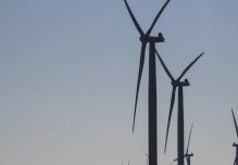 Los combustibles fósiles no podrán ser sustituidos por energías renovables, según la OPEP