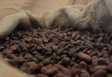 Ecuador expone su producción de cacao en Bélgica