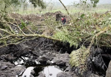 Derrame de crudo en Napo afecta 2,1 hectáreas, según ministerio del Ambiente