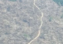 Deforestación y quemas avanzan en parques de la Amazonía colombiana