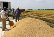 Colombia incluyó frijoles, arroz y aceites entre productos ecuatorianos con arancel