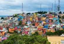 Dengue, la otra pandemia que amenaza a Ecuador