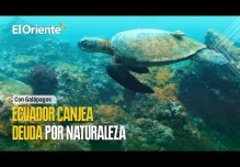 Con Galápagos, Ecuador firma el canje de «deuda por naturaleza» más grande de la historia