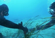 Los océanos son la séptima economía mundial, aunque amenazada por la falta de regulación