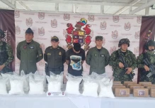Colombia y Ecuador destruyeron 1,8 toneladas de cocaína