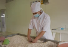 Estudios destacan al chocho como un cultivo clave para la seguridad alimentaria 