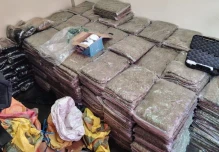 La Policía decomisó 637 kilogramos de marihuana en Imbabura