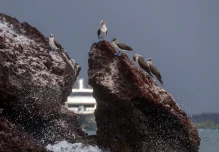 Galápagos: Fundación de Jeff Bezos donó para seguridad marítima
