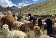 Principales noticias de Ecuador hoy - 8 de julio de 2024 