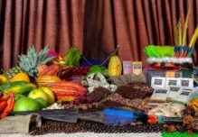 Los cofanes aún se alimentan de la Madre Tierra