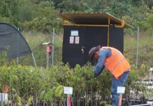 Científicos contratados por Lundin Gold trabajan con semillas y plantas en Zamora