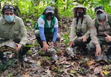 25 especímenes de vida silvestre fueron reinsertados en el Yasuní 