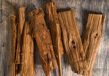 Uña de gato, un tesoro medicinal de Ecuador