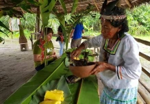 Coca busca consolidarse como un destino turístico amazónico
