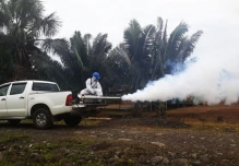 Ecuador registra 31 muertes por dengue