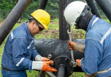 Ventana corta para reactivar el petróleo ecuatoriano ante cambios en el mercado mundial