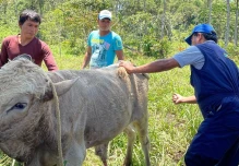 Ganaderos de Napo reciben asistencia técnica