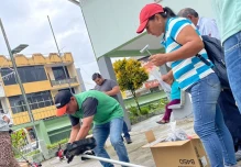 La modernización del sector ganadero en Napo es promovida