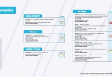 Informe Red Vial Región Amazónica - Marzo 13 de 2025