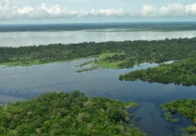 Carreteras ilegales, coca y ganadería aceleran la devastación de la Amazonía colombiana