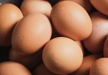 Ecuador exportará huevos de mesa hacia Emiratos Árabes Unidos
