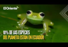 Día mundial del ambiente. 5 curiosidades de Ecuador