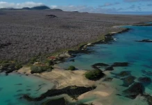 Ejecución de proyecto para reintroducir 12 especies extintas en Galápagos inició
