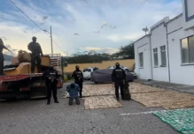 La Policía incautó más de una tonelada de marihuana en Imbabura