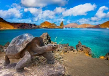 Animales de Galápagos