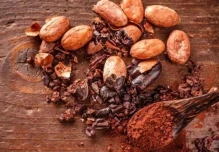 El precio del cacao mantiene una tendencia a la baja
