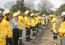 100.000 hectáreas afectadas en cinco años por incendios forestales