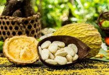 Macambo, una fruta poco conocida y con gran potencial