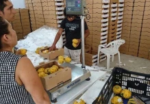 Supermercados de Florida prefieren la pitahaya ecuatoriana