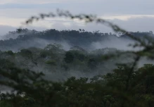 Ecuador perdió 1,16 millones de hectáreas de cobertura natural en los últimos 38 años
