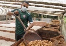 La tonelada de cacao bajó a $ 7.768,50