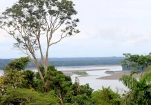Día Mundial del Medio Ambiente: Ecuador enfrenta serias amenazas