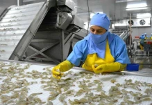 El mal momento de China golpea al camarón ecuatoriano 