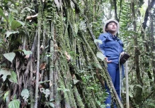 Cámara de Energía de Ecuador ve nefasto el plebiscito sobre operación petrolera del Yasuní