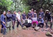 25 especímenes de fauna silvestre retornaron a su hábitat en Sucumbíos