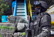 32 toneladas de drogas, cifra récord, fueron destruidas en enero