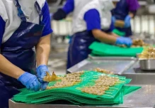 Camarón con valor agregado gana espacio en la estrategia exportadora de Ecuador