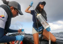 Científicos estudian 'migravía' submarina que une Panamá, Costa Rica, Colombia y Ecuador
