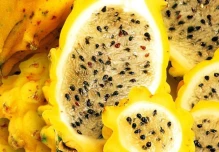 Perú cerró la importación de pitahaya ecuatoriana