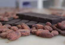 Caída en exportaciones de cacao responde a ajuste de precios internacionales