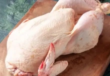 Ecuador produce más de 18 mil toneladas de carne de pavo 