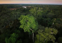Ecuador acogerá la 33 Reunión de Comisión Forestal para Latinoamérica